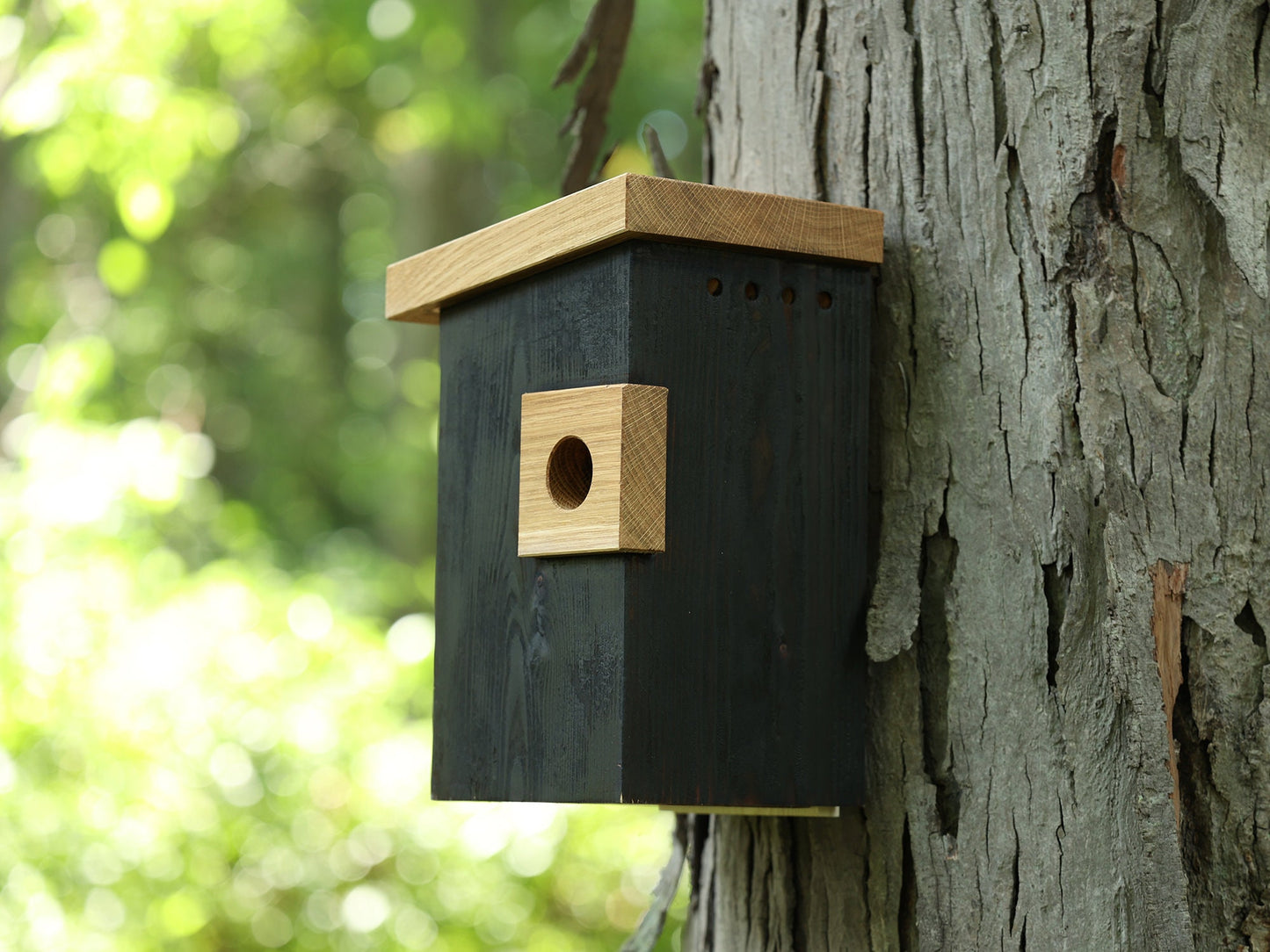 Shou Sugi Ban Birdhouse