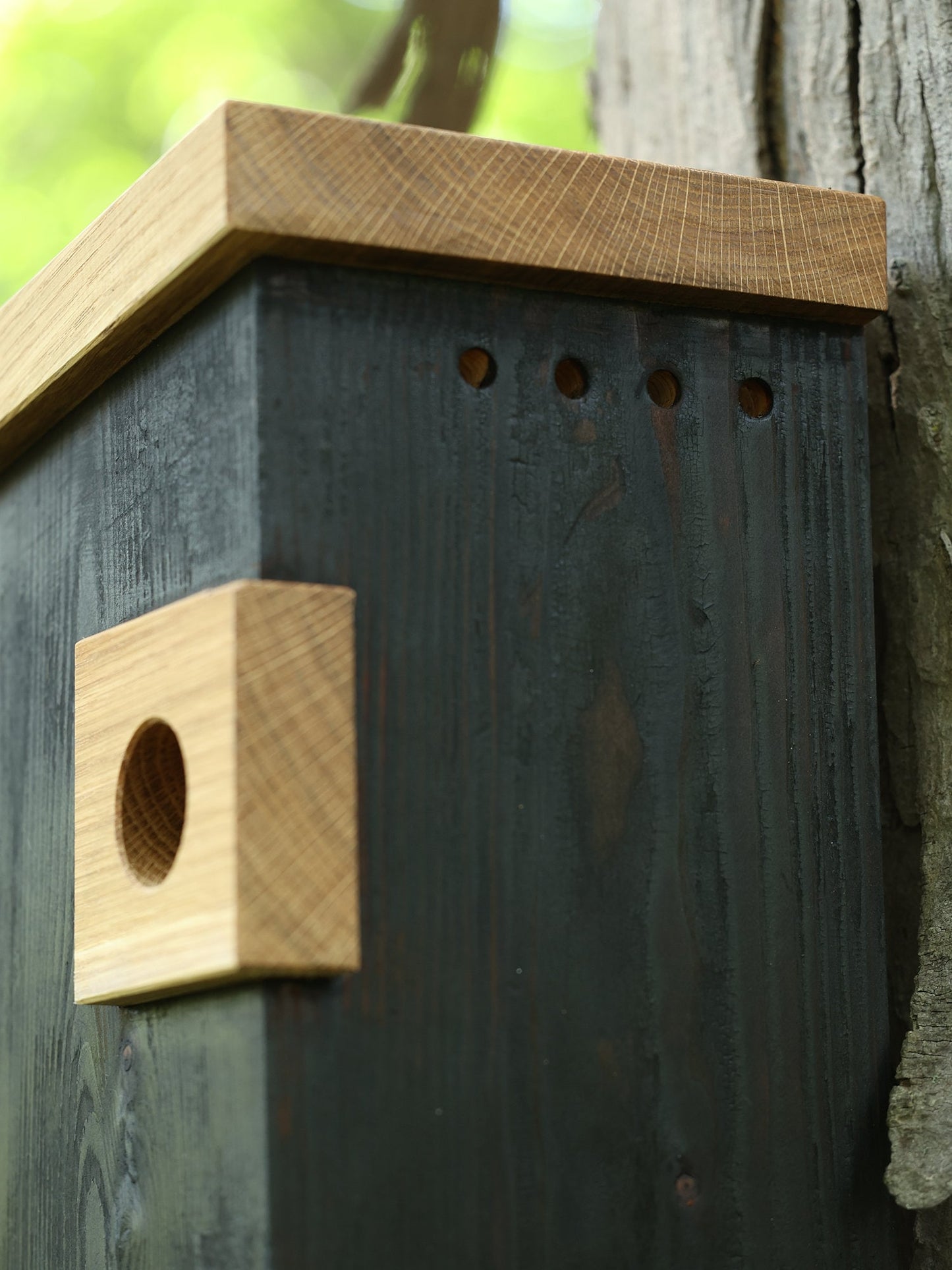 Shou Sugi Ban Birdhouse
