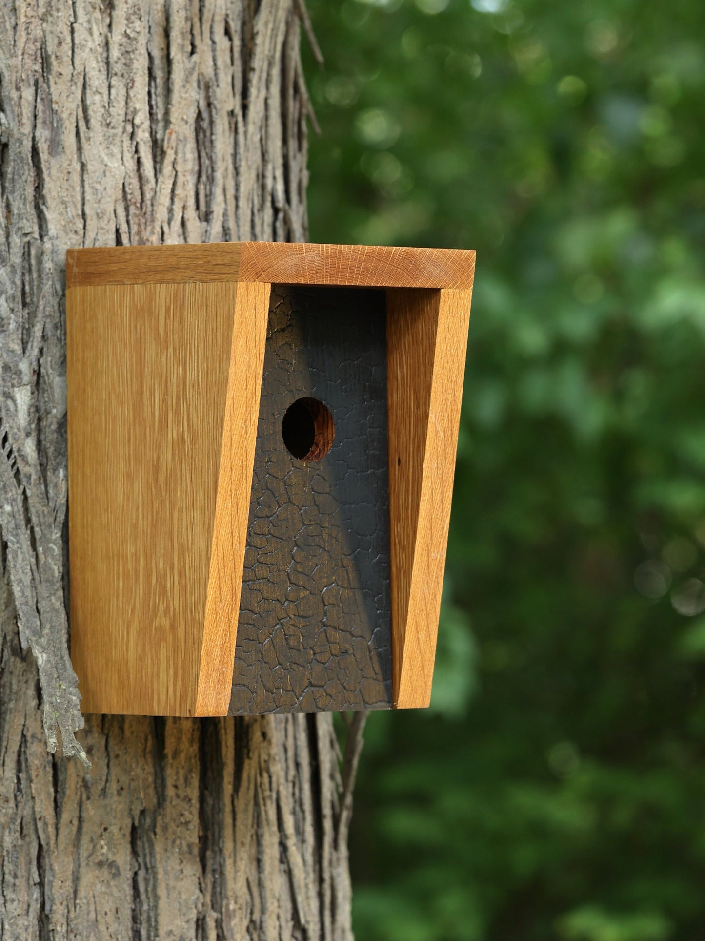 White Oak and Shou Sugi Ban Birdhouse