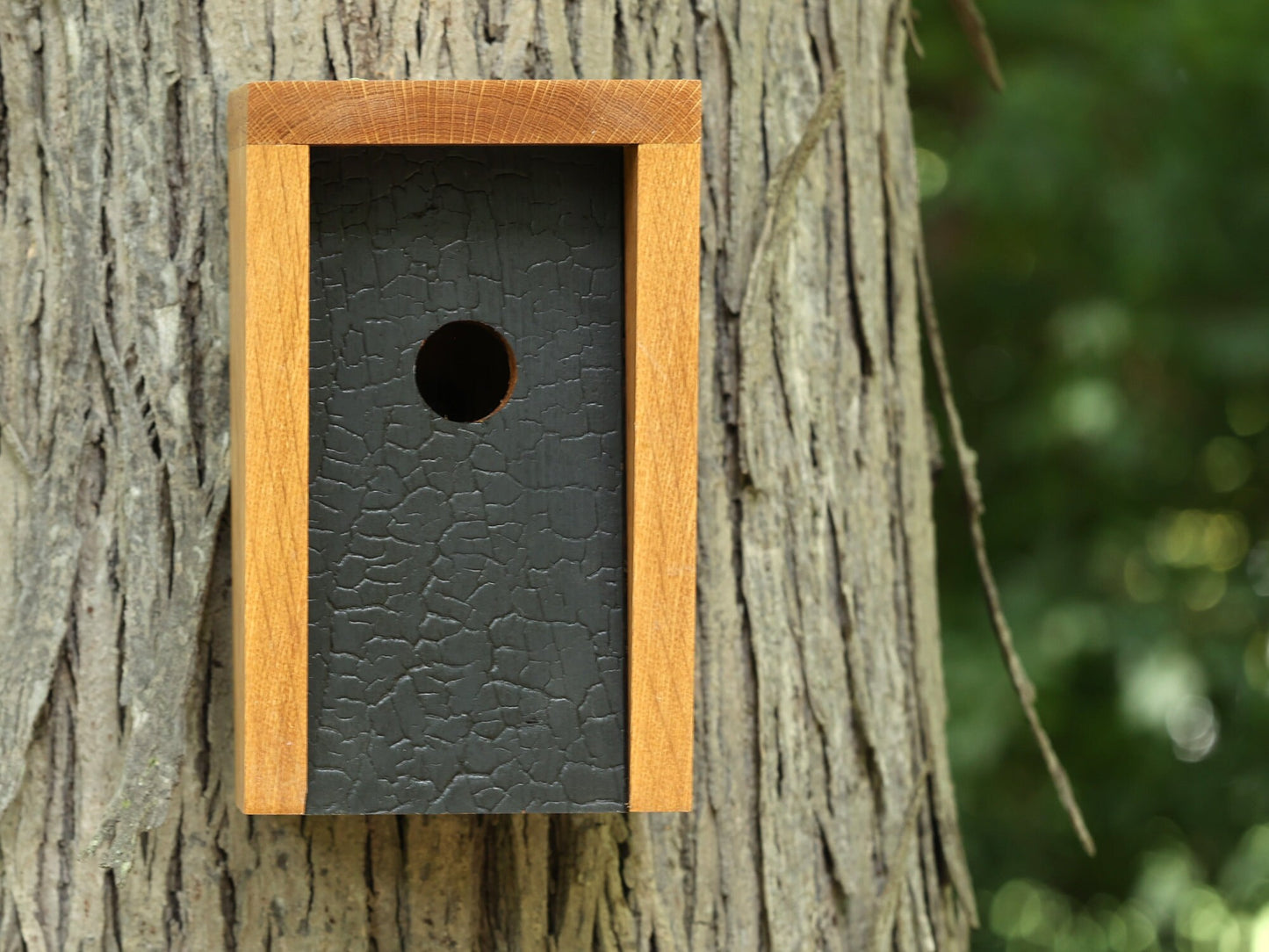 White Oak and Shou Sugi Ban Birdhouse