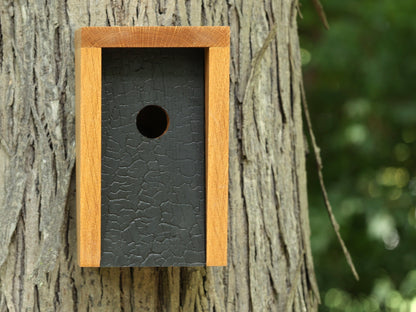 White Oak and Shou Sugi Ban Birdhouse