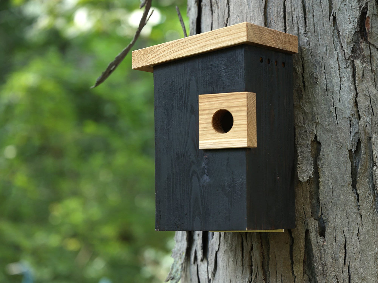 Shou Sugi Ban Birdhouse