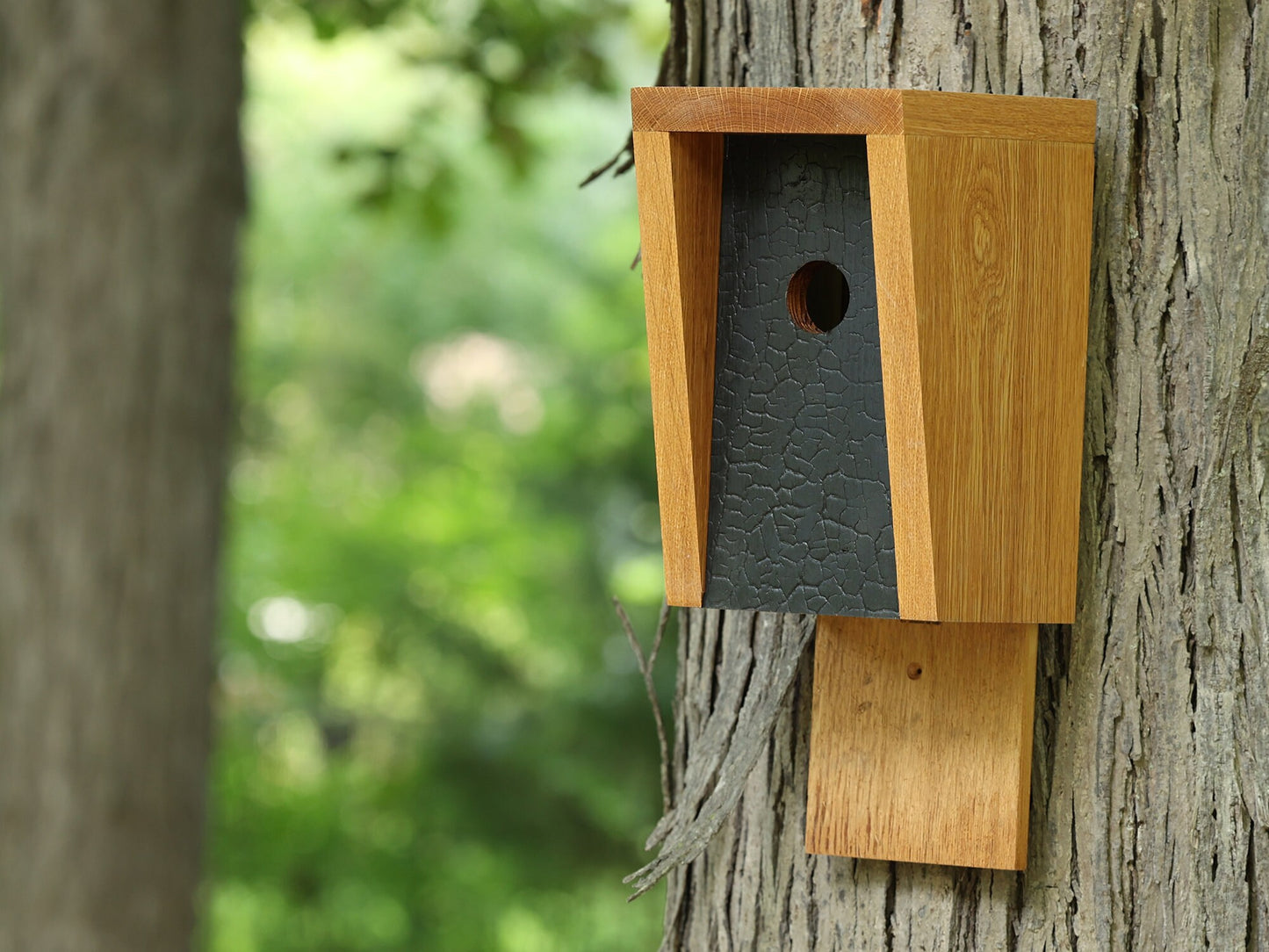 White Oak and Shou Sugi Ban Birdhouse