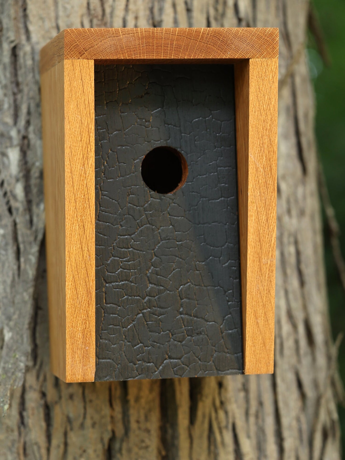 White Oak and Shou Sugi Ban Birdhouse
