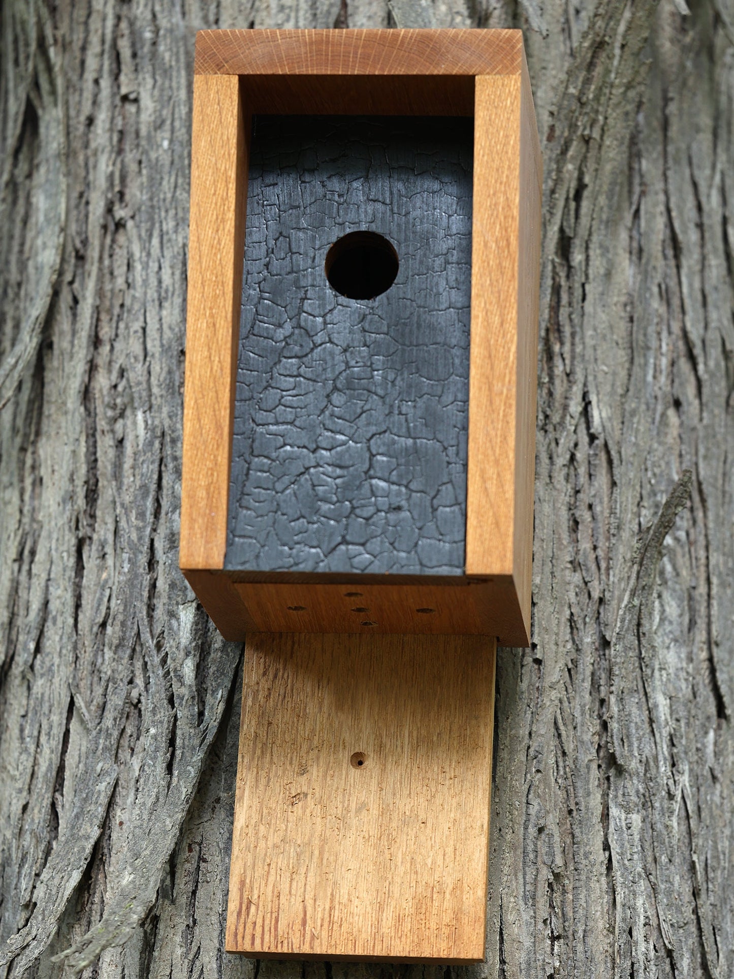 White Oak and Shou Sugi Ban Birdhouse