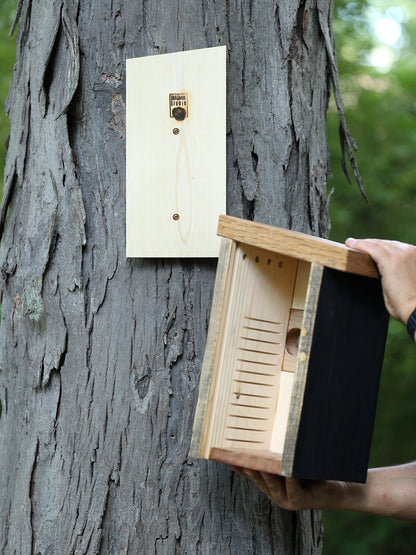 Shou Sugi Ban Birdhouse
